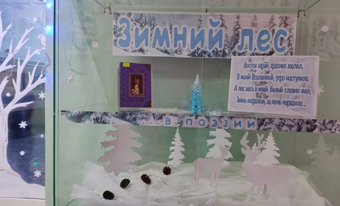 1 взрослая библиотека