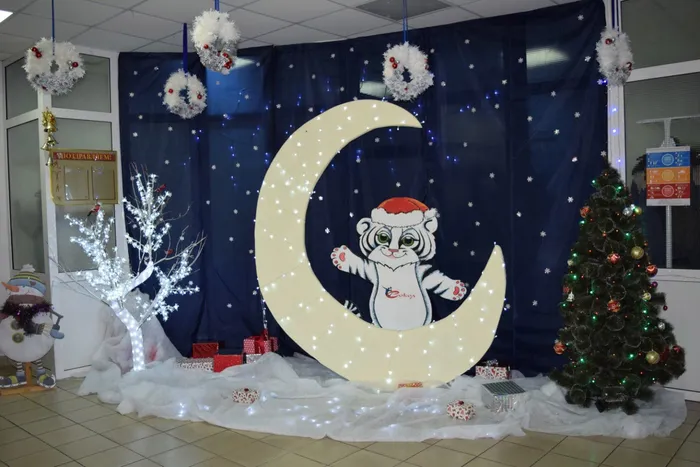 1 DSC_1225 Сокол