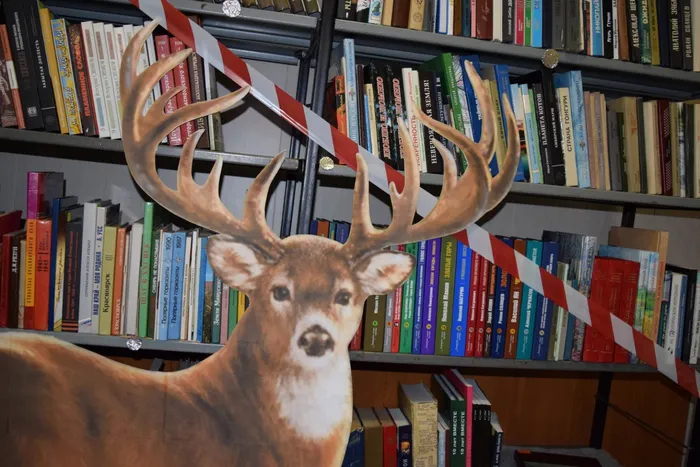 1 DSC_1258 филиал