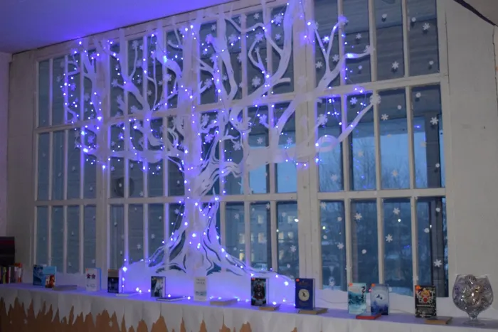 1 DSC_1155 взрослая библиотека